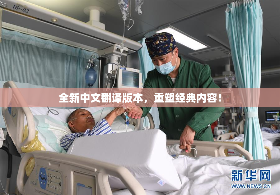 全新中文翻译版本，重塑经典内容！