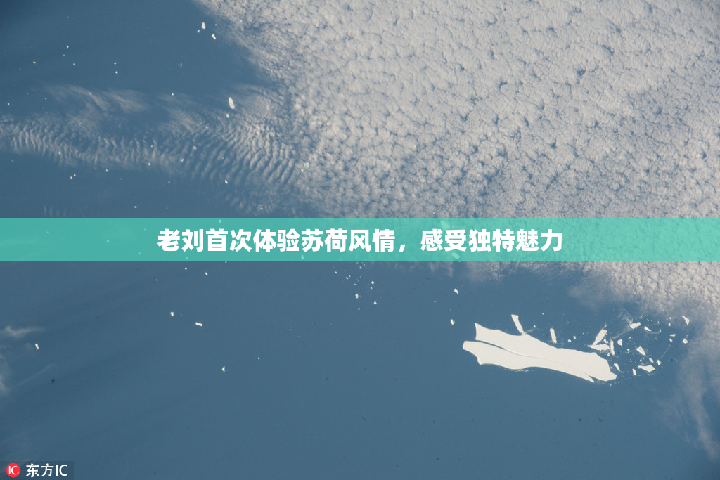 老刘首次体验苏荷风情，感受独特魅力