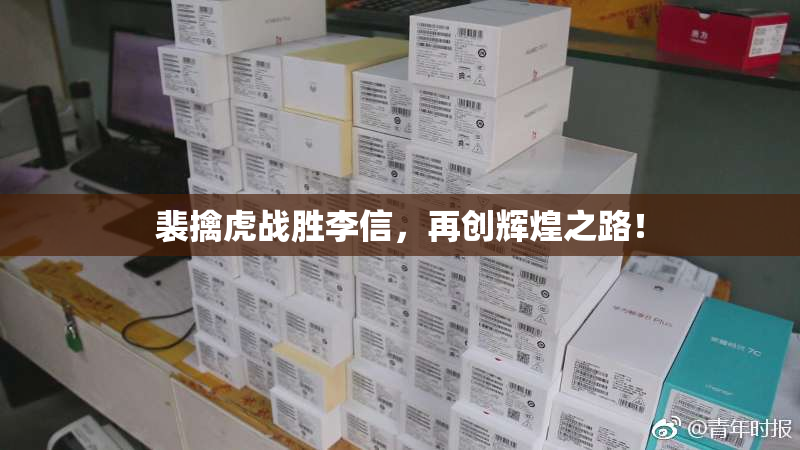 裴擒虎战胜李信，再创辉煌之路！
