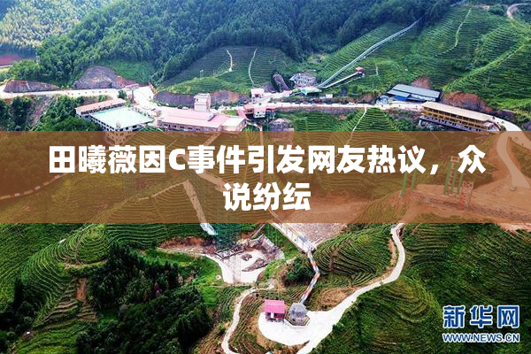 田曦薇因C事件引发网友热议，众说纷纭