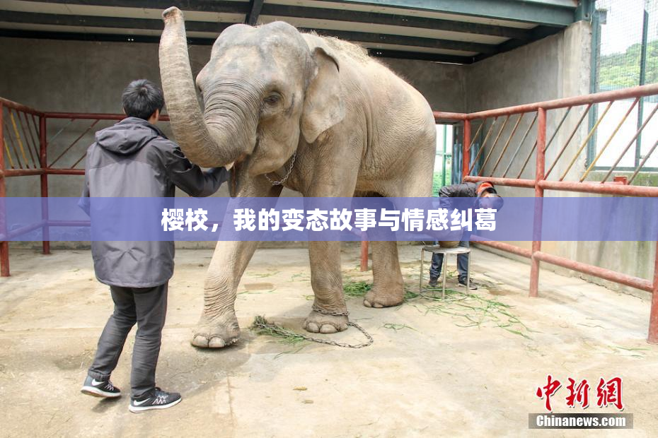 樱校，我的变态故事与情感纠葛