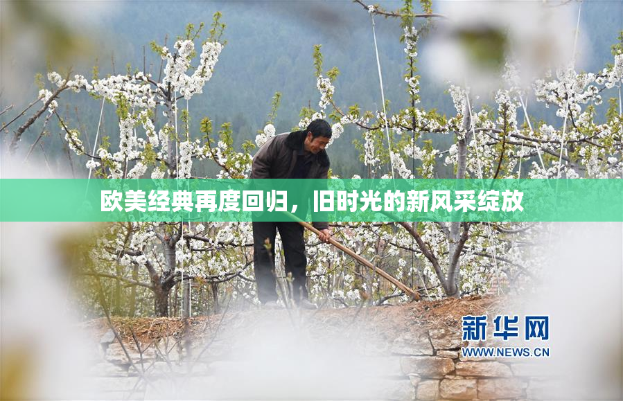 欧美经典再度回归，旧时光的新风采绽放