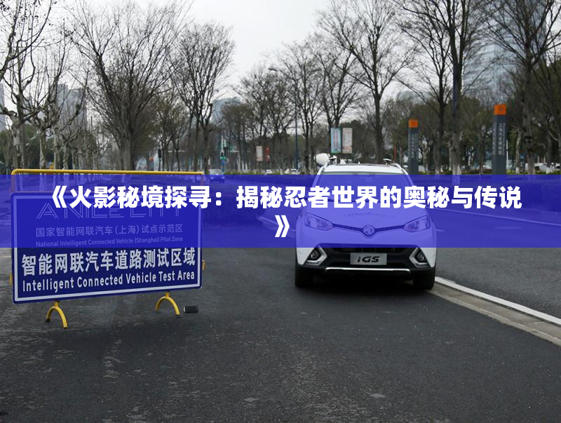 《火影秘境探寻：揭秘忍者世界的奥秘与传说》
