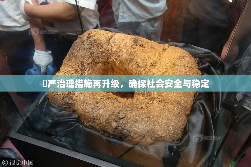 囯严治理措施再升级，确保社会安全与稳定
