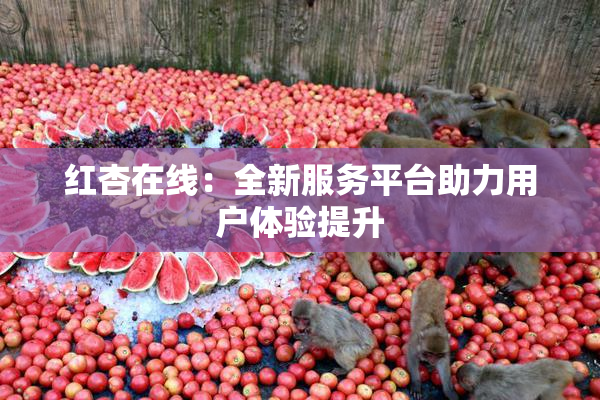 红杏在线：全新服务平台助力用户体验提升