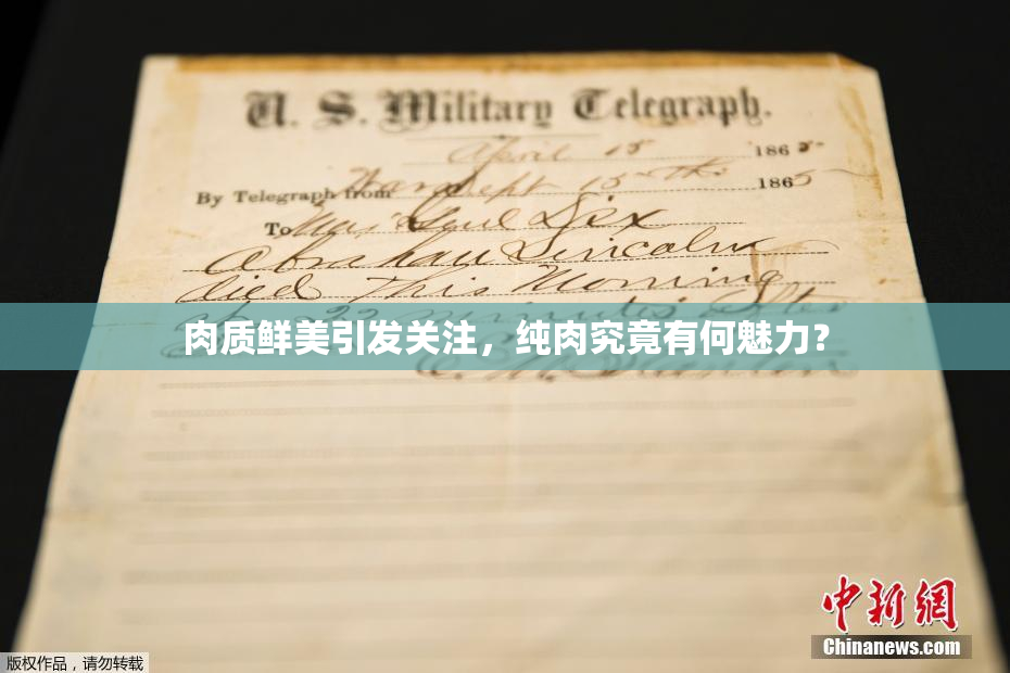 肉质鲜美引发关注，纯肉究竟有何魅力？