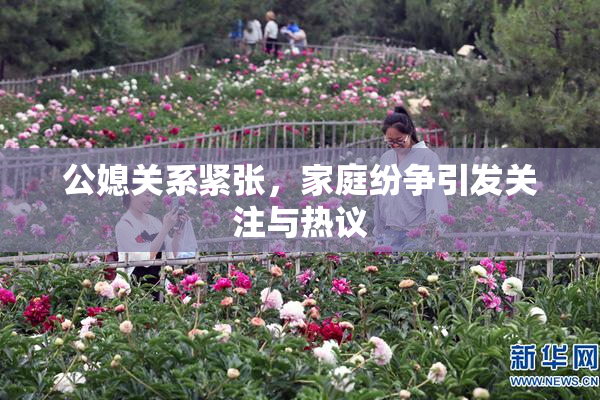 公媳关系紧张，家庭纷争引发关注与热议