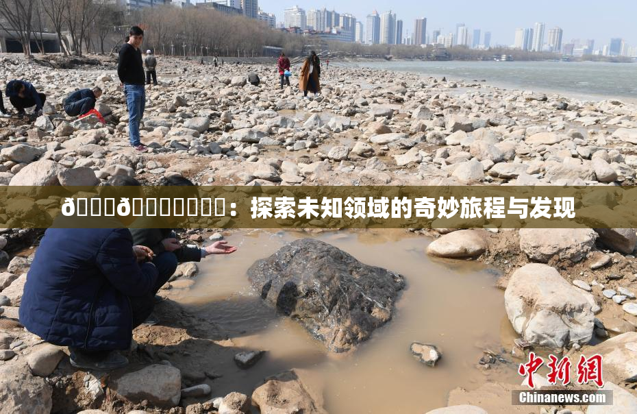 🍆🍑❌‌❌‌：探索未知领域的奇妙旅程与发现