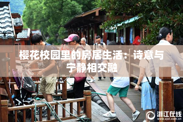 樱花校园里的房居生活：诗意与宁静相交融