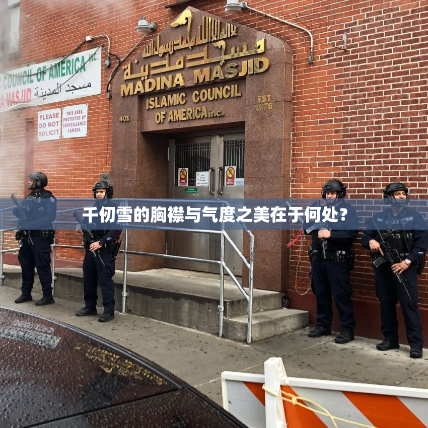 千仞雪的胸襟与气度之美在于何处？