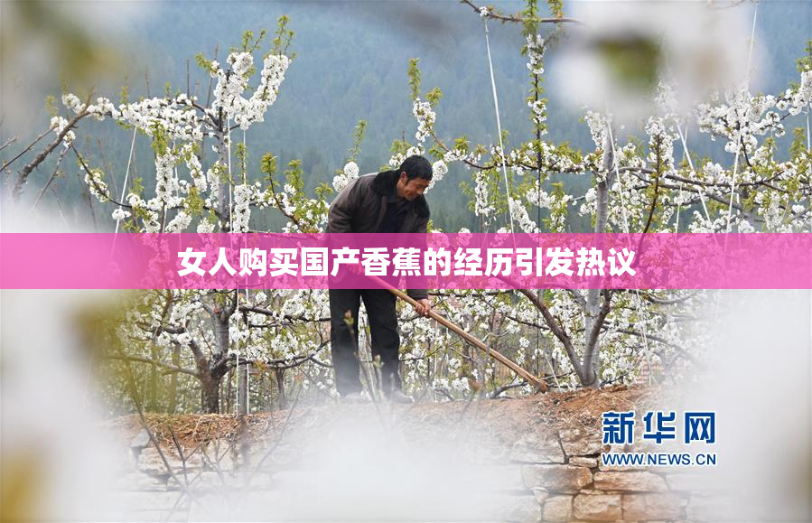 女人购买国产香蕉的经历引发热议