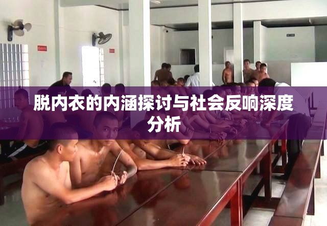 脱内衣的内涵探讨与社会反响深度分析