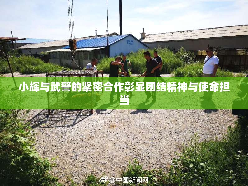 小辉与武警的紧密合作彰显团结精神与使命担当