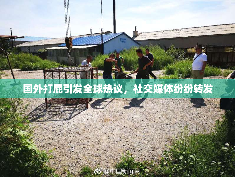 国外打屁引发全球热议，社交媒体纷纷转发