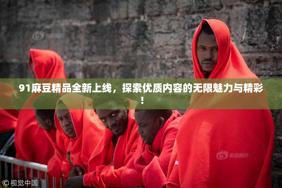 91麻豆精品全新上线，探索优质内容的无限魅力与精彩！