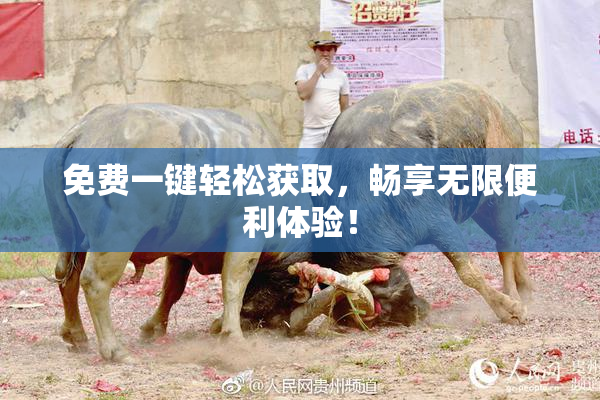 免费一键轻松获取，畅享无限便利体验！
