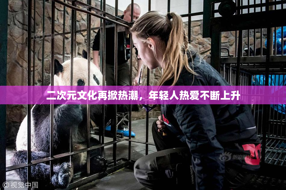 二次元文化再掀热潮，年轻人热爱不断上升