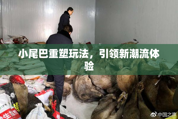 小尾巴重塑玩法，引领新潮流体验