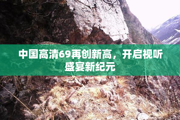 中国高清69再创新高，开启视听盛宴新纪元