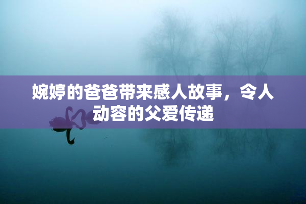 婉婷的爸爸带来感人故事，令人动容的父爱传递