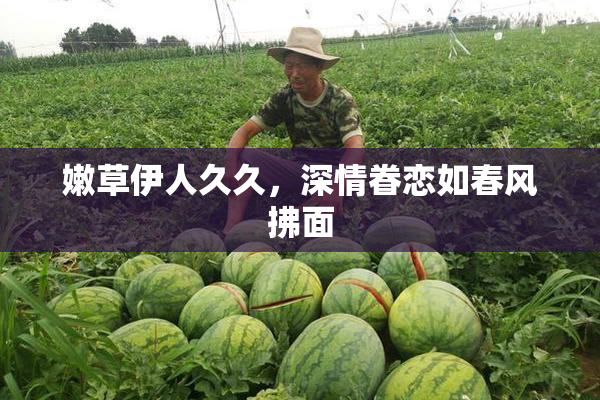 嫩草伊人久久，深情眷恋如春风拂面