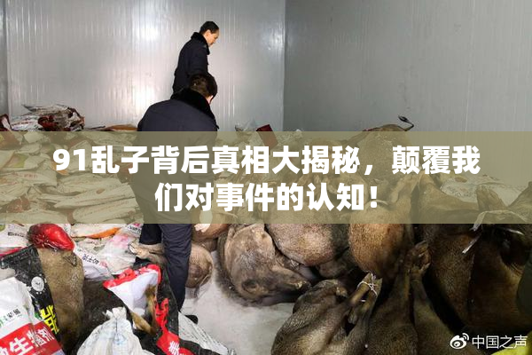 91乱子背后真相大揭秘，颠覆我们对事件的认知！