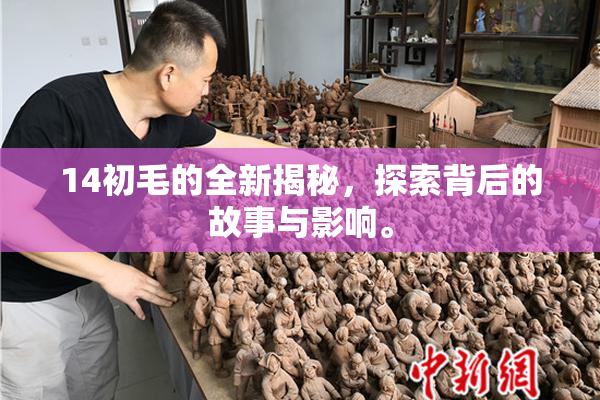 14初毛的全新揭秘，探索背后的故事与影响。