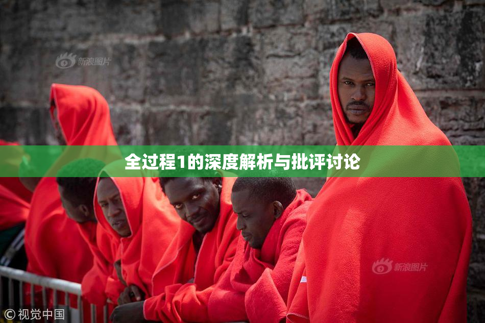 全过程1的深度解析与批评讨论