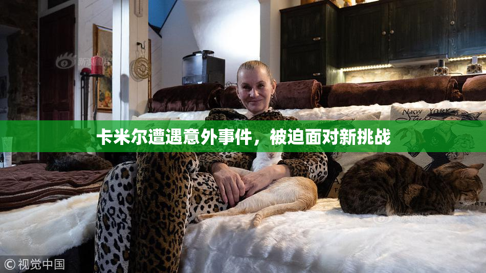 卡米尔遭遇意外事件，被迫面对新挑战