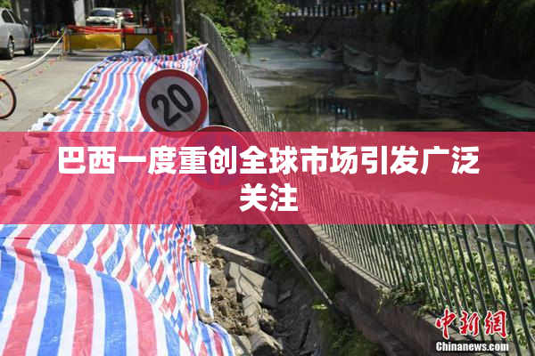 巴西一度重创全球市场引发广泛关注