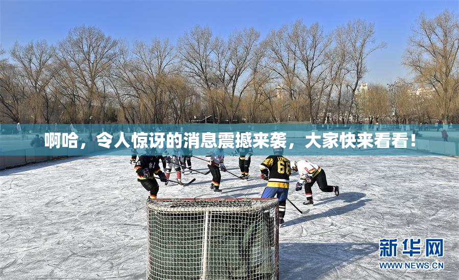 啊哈，令人惊讶的消息震撼来袭，大家快来看看！