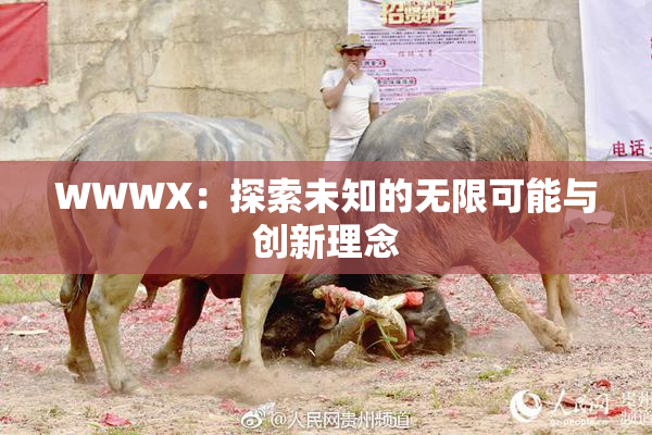 WWWX：探索未知的无限可能与创新理念