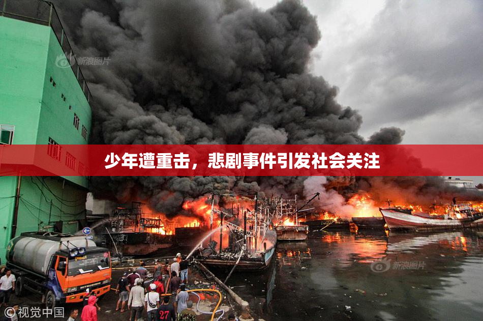 少年遭重击，悲剧事件引发社会关注