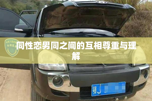 同性恋男同之间的互相尊重与理解