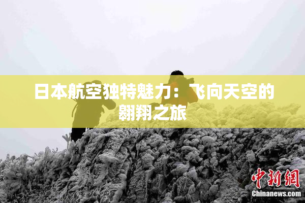 日本航空独特魅力：飞向天空的翱翔之旅
