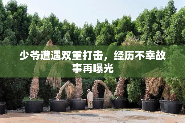 少爷遭遇双重打击，经历不幸故事再曝光