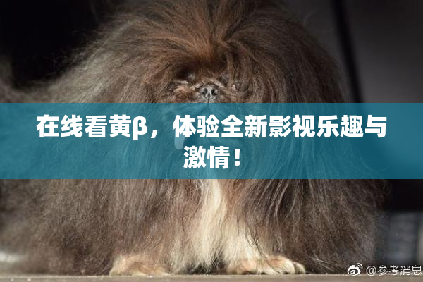 在线看黄β，体验全新影视乐趣与激情！