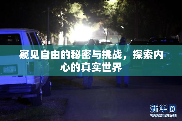 窥见自由的秘密与挑战，探索内心的真实世界