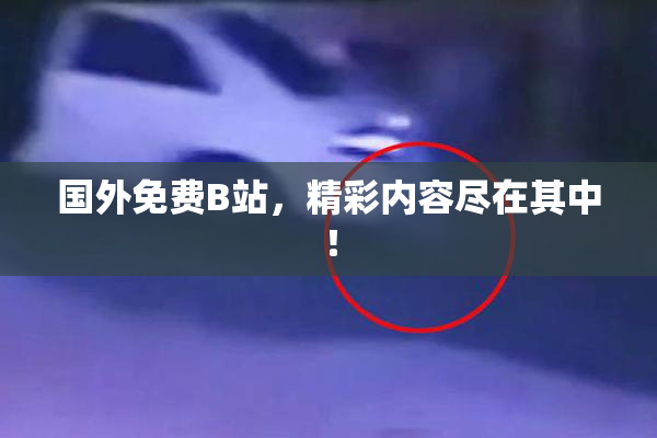 国外免费B站，精彩内容尽在其中！
