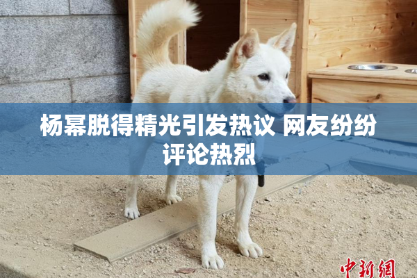 杨幂脱得精光引发热议 网友纷纷评论热烈