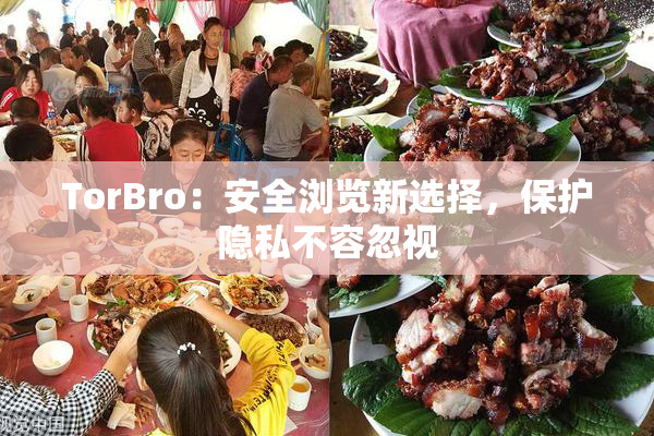 TorBro：安全浏览新选择，保护隐私不容忽视