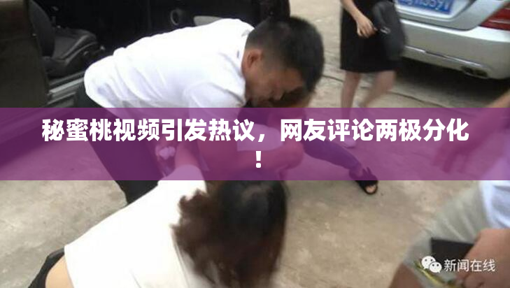 秘蜜桃视频引发热议，网友评论两极分化！