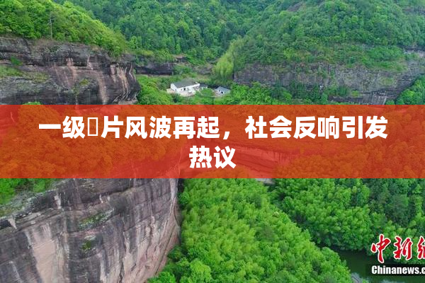一级婬片风波再起，社会反响引发热议