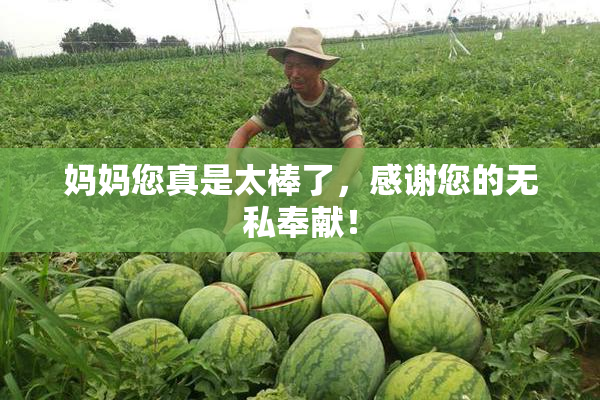 妈妈您真是太棒了，感谢您的无私奉献！