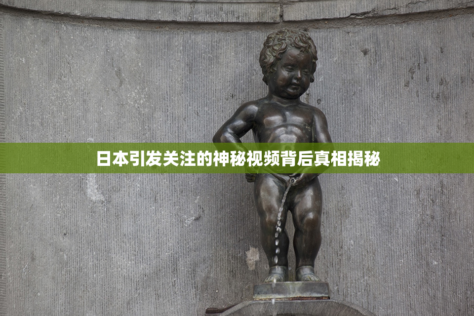 日本引发关注的神秘视频背后真相揭秘