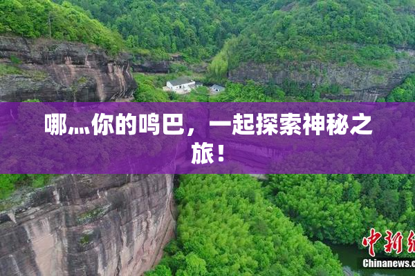 哪灬你的鸣巴，一起探索神秘之旅！