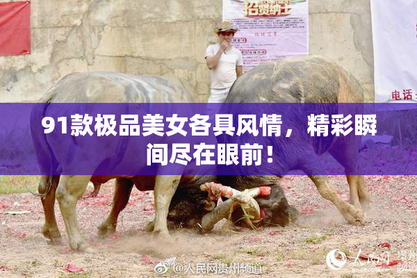 91款极品美女各具风情，精彩瞬间尽在眼前！