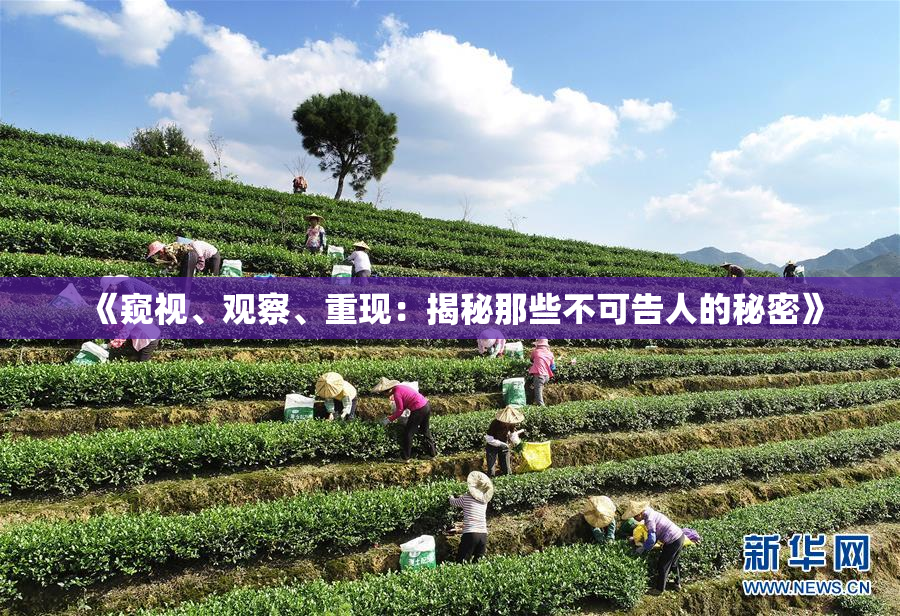 《窥视、观察、重现：揭秘那些不可告人的秘密》
