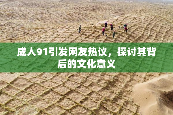 成人91引发网友热议，探讨其背后的文化意义