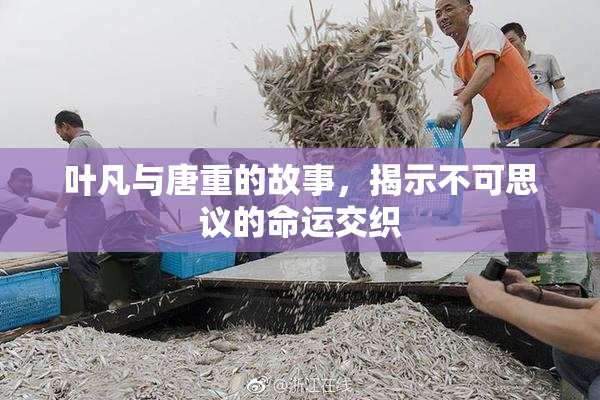 叶凡与唐重的故事，揭示不可思议的命运交织